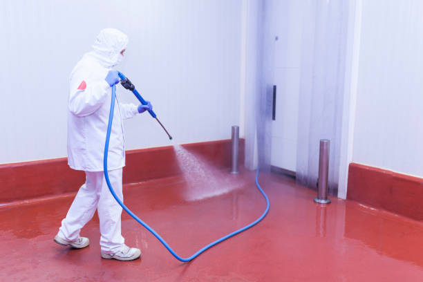 Best Dumpster Area Cleaning  in Pollock Pines, CA
